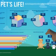 pets
