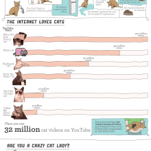 cats-are-better-than-men