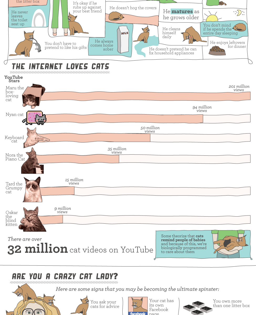 Why Cats are Better than Men