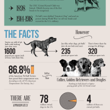 pit bulls