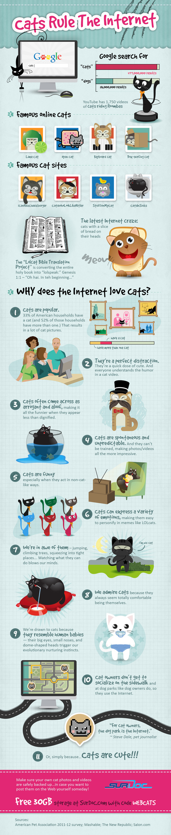 Cats Rule the Internet infographic