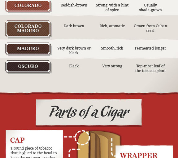 Cigar Smoking Infographic