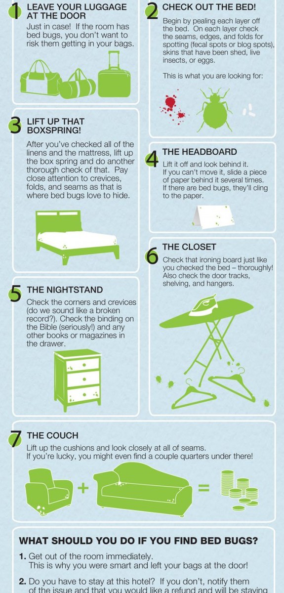 How To Check Your Hotel Room For Bed Bugs | Infographic-Directory.com