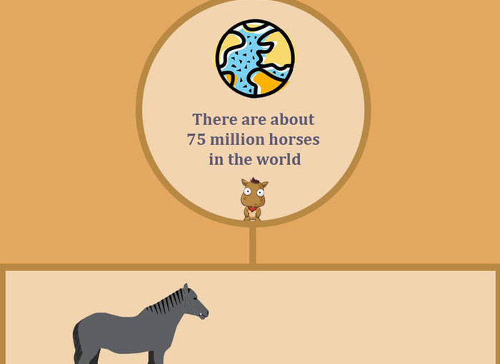 Amazing Horse Facts