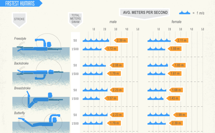 Making a Splash: Fast and Fascinating Water Facts