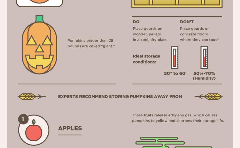 The Numbers Behind Pumpkins