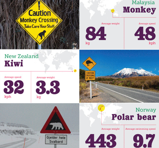 Don’t Run Over That Elephant: Animal Crossing Signs Around The World