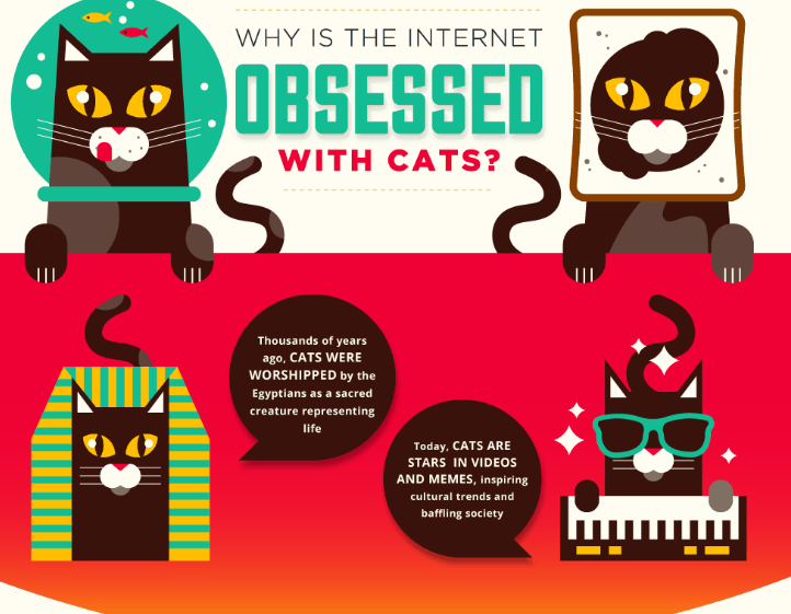 The Internet Of Cats
