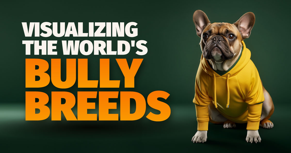 Visualization of the World’s Most Popular Bully Breeds